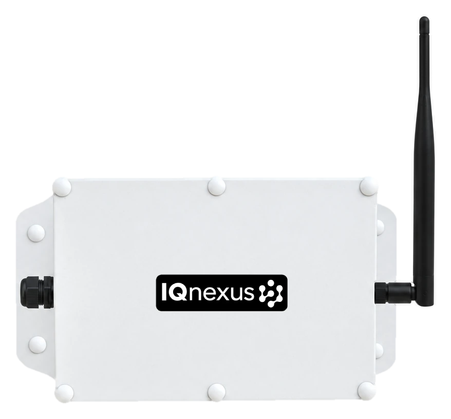 NBmulti